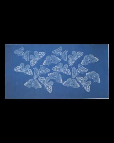 Stencil Farfalla 18 × 1 × 32 cm