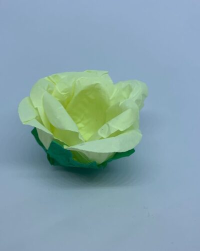 PIROTTINI PORTAFIORI INVOLUCRI DI FIORI DA TARTUFO - 30 unità