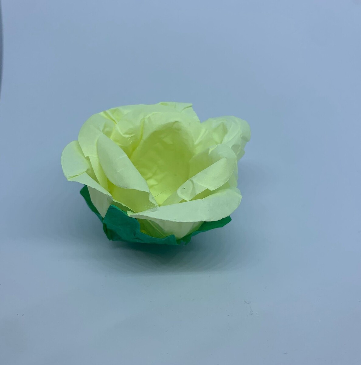 PIROTTINI PORTAFIORI INVOLUCRI DI FIORI DA TARTUFO - 30 unità