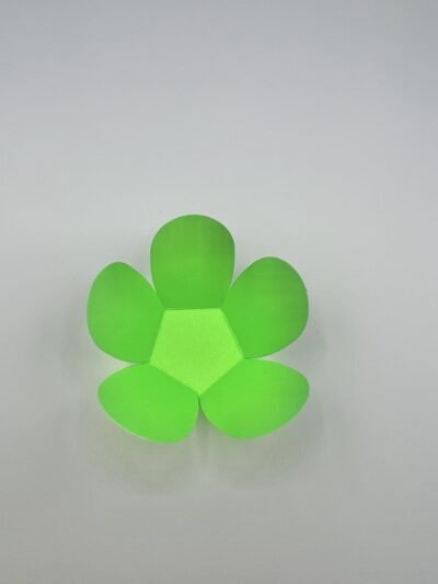 PORTA TARTUFO FORME DI FIORI NERO LIME 50 pezzi