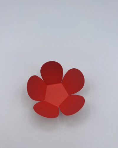 PORTA TARTUFO FORME DI FIORI ROSSO 50 pezzi