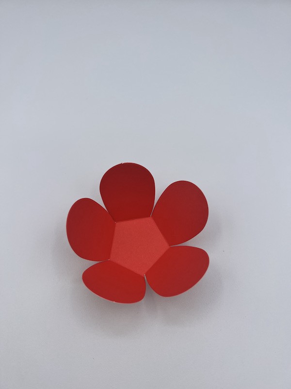 PORTA TARTUFO FORME DI FIORI ROSSO 50 pezzi