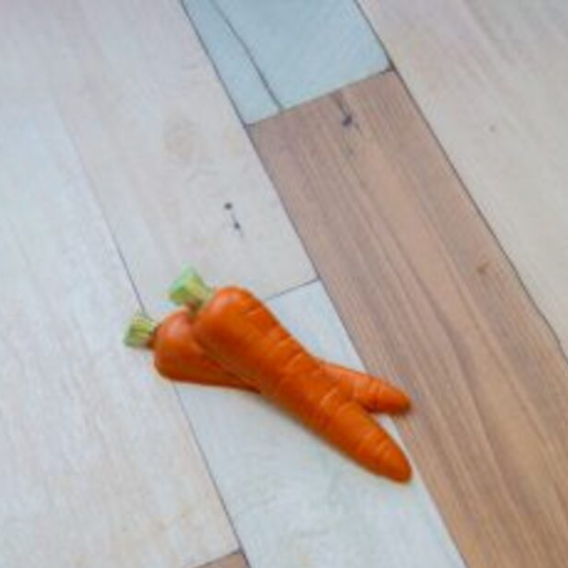 STAMPO PER CIOCCOLATO CAROTE - Cod 3581 - immagine 2